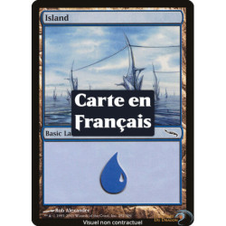(Foil) Terrain - Île (V2) (L) [MRD]