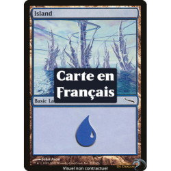 (Foil) Terrain - Île (V4) (L) [MRD]