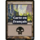 (Foil) Terrain - Marais (V1) (L) [MRD]