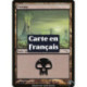 (Foil) Terrain - Marais (V2) (L) [MRD]