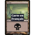 (Foil) Terrain - Marais (V2) (L) [MRD]