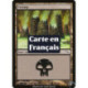 (Foil) Terrain - Marais (V3) (L) [MRD]