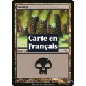 (Foil) Terrain - Marais (V3) (L) [MRD]