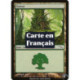 (Foil) Terrain - Forêt (V1) (L) [MRD]