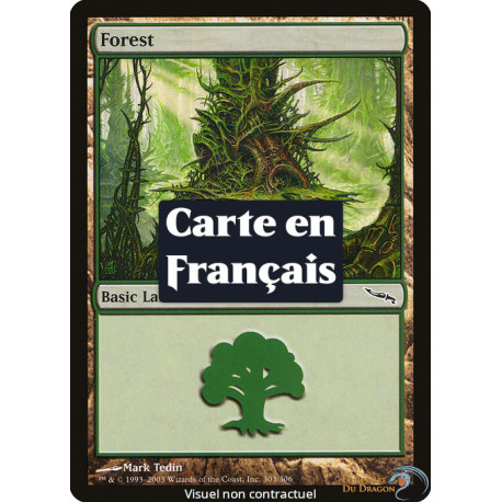(Foil) Terrain - Forêt (V1) (L) [MRD]