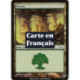 (Foil) Terrain - Forêt (V2) (L) [MRD]