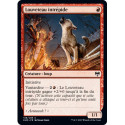 (Foil) Rouge - Louveteau intrépide (C) [KHM]