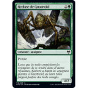 (Foil) Verte - Recluse de Gnottvold (C) [KHM]