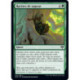 (Foil) Verte - Racines de sagesse (C) [KHM]