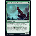 (Foil) Verte - Frère de meute de Sarulf (C) [KHM]