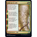 (Foil) Multicolore - Arni tue le troll (U) [KHM]