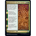 (Foil) Multicolore - Emprisonnement des dieux anciens (U) [KHM]