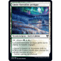 (Foil) Terrain - Limite forestière arctique (C) [KHM]