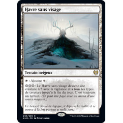 (Foil) Terrain - Havre sans visage (R) [KHM]