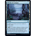 (Foil) Terrain - Mirelac de Littjara (U) [KHM]