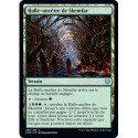 (Foil) Terrain - Halle-ancêtre de Skemfar (U) [KHM]