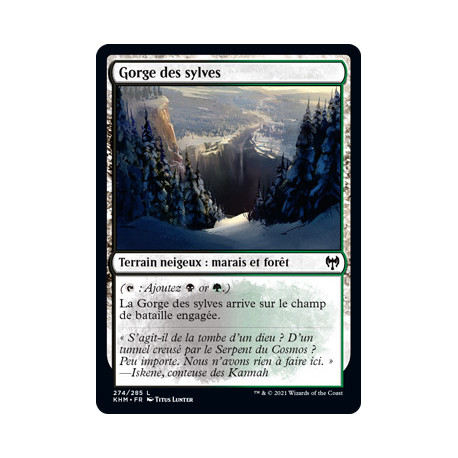 (Foil) Terrain - Gorge des sylves (C) [KHM]