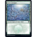 (Foil) Terrain - Forêt enneigée (V2) (L) [KHM]