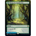 (Foil) Terrain - Passage de Tunnécorce // Passage de Fossemarée (V2, Borderless) (R) [KHM]