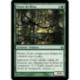 (Foil) Verte - Veuve du fléau (C) [MBS]