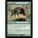 (Foil) Verte - Loup putride (C) [MBS]
