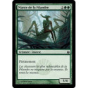 (Foil) Verte - Mante de la Filandre (C) [MBS]