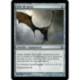 (Foil) Incolore - Aile de peau (U) [MBS]