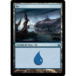 (Foil) Terrain - Île (V1) (L) [MBS]