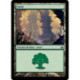 (Foil) Terrain - Forêt (V1) (L) [MBS]
