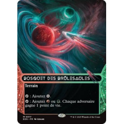 (Foil) Terrain - Bosquet des brûlesaules (M) [EOS]