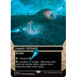 (Foil) Terrain - Champ pétrifié (M) [EOS]