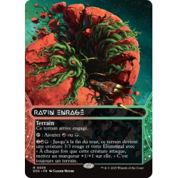 (Foil) Terrain - Ravin enragé (R) [EOS]