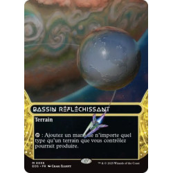 (Foil) Terrain - Bassin réfléchissant (M) [EOS]
