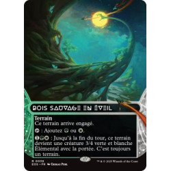 (Foil) Terrain - Bois sauvage en éveil (R) [EOS]