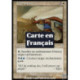 (Foil) Blanche - Protection selon Téfeiri (U) [INV]