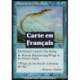 (Foil) Bleue - Ailes chatoyantes (C) [INV]