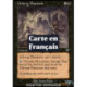 (Foil) Noire - Fantôme d'Urborg (C) [INV]