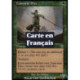 (Foil) Verte - Élite de Llanowar (C) [INV]