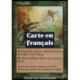 (Foil) Verte - Fouet de soie (C) [INV]