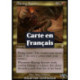 (Foil) Multicolore - Spectre brûlant (R) [INV]
