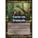 (Foil) Multicolore - Troll fougueux (U) [INV]