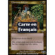 (Foil) Multicolore - Chevalier de Llanowar (C) [INV]