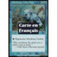 (Foil) Multicolore - Tempête de météores (R) [INV]