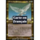 (Foil) Multicolore - Treva le rénovateur (R) [INV]