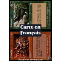 (Foil) Multicolore - Assaillement // Barrissement (U) [INV]