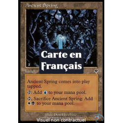 (Foil) Terrain - Ancienne source (C) [INV]