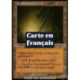 (Foil) Terrain - Crevasse bouillonnante (C) [INV]