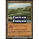 (Foil) Terrain - Canal d'irrigation (C) [INV]
