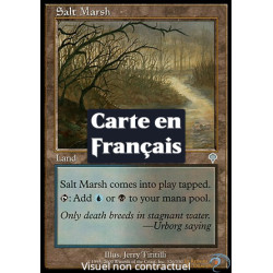 (Foil) Terrain - Marais salant (U) [INV]