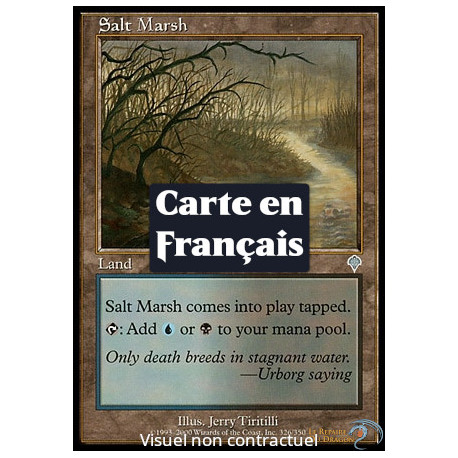 (Foil) Terrain - Marais salant (U) [INV]